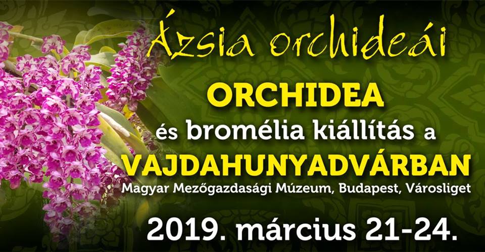 Tavaszi-orchidea-es-bromelia-kiallitas-es-vasar